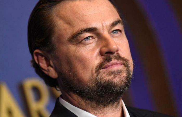 Leonardo DiCaprio fugge dal disastro a bordo del suo jet