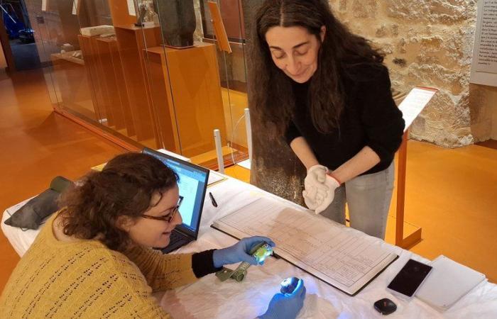 Dietro le quinte del museo Champollion è in corso un importante inventario delle collezioni