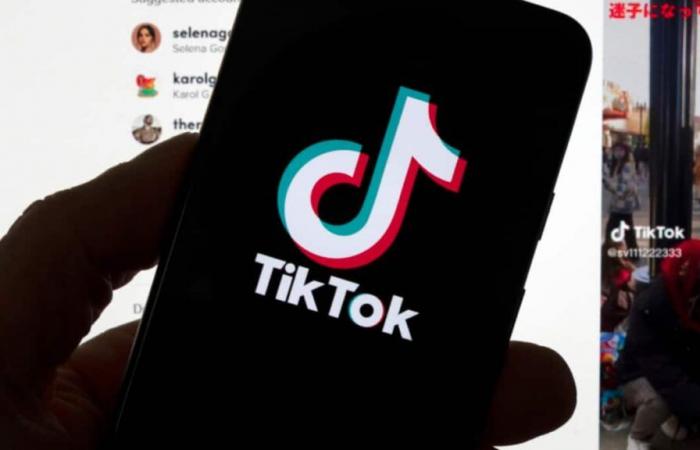 Elon Musk in trattative per acquistare TikTok secondo Bloomberg