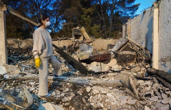 Incendi a Los Angeles: gli affitti salgono, i sopravvissuti lottano