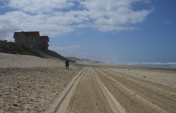 Lande. Diversi accessi alle spiagge di Biscarrosse stanno chiudendo, ecco il motivo