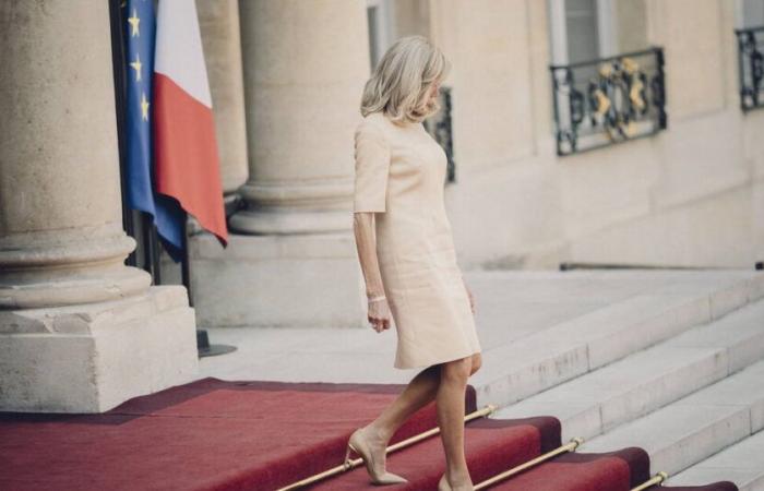 Brigitte Macron ha avuto giornate ITT nel caso delle molestie informatiche transfobiche? – Liberazione