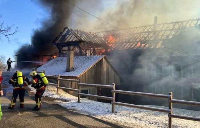 In un incendio muoiono circa trenta bovini