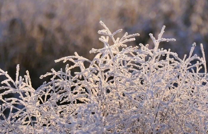 MAPPA. Meteo: la vigilanza “molto freddo” si estende ampiamente in Francia questo lunedì, 34 dipartimenti colpiti