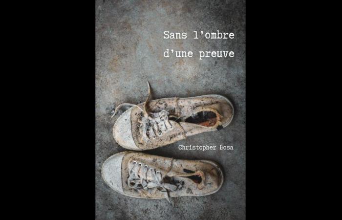 Alla ricerca delle prove – un libro di Christopher Bosa