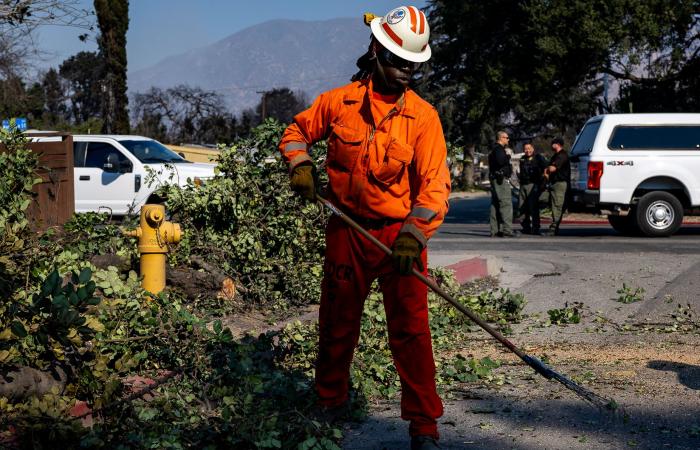 Segnalare nuovamente gli incendi attraverso il dolore, la comunità e lo scetticismo