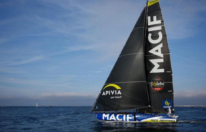 Vendée Globe: Dalin o Richomme, quanto guadagnano il vincitore della corsa e il secondo?