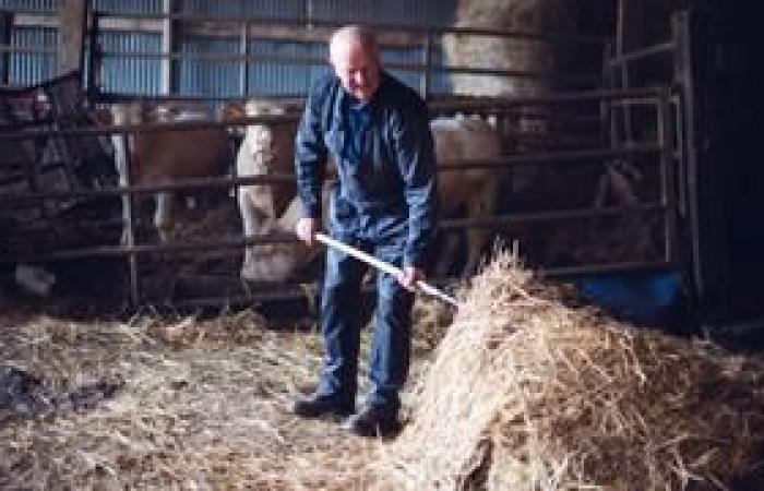 Chi sono i quindici agricoltori della stagione 20?