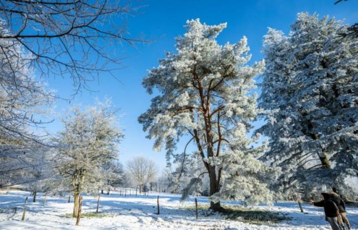 il livello di allerta giallo è attivato