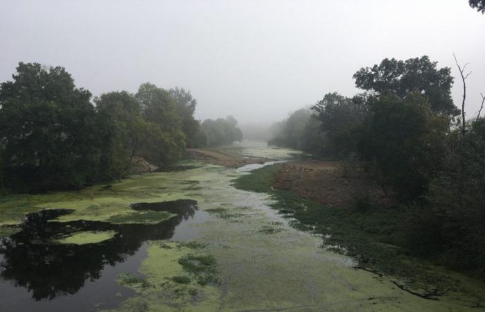 Saumurois. Inondazioni storiche sulla Loira e sul Thouet