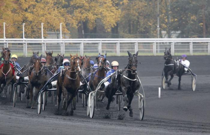 Il pronostico della Quinte de Paris-Vincennes di martedì 14 gennaio 2025 di Jack Vautrin