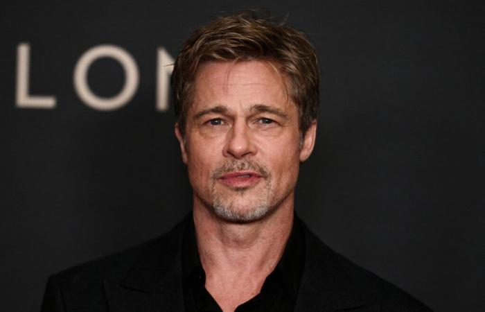 Come Anne, 53 anni, è stata derubata di 830.000 euro da un falso Brad Pitt