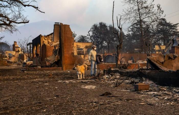 Segnalare nuovamente gli incendi attraverso il dolore, la comunità e lo scetticismo