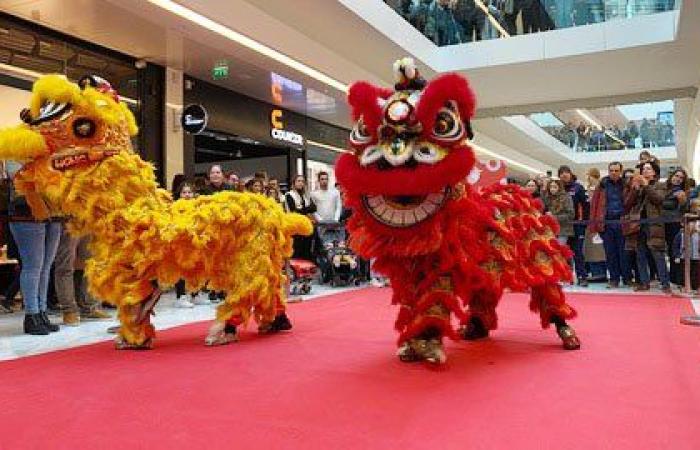 Il Vello d’Oro festeggia il Capodanno Cinese con Tran