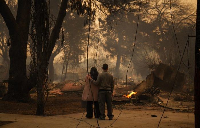 Guarda come gli incendi di Los Angeles hanno distrutto i quartieri