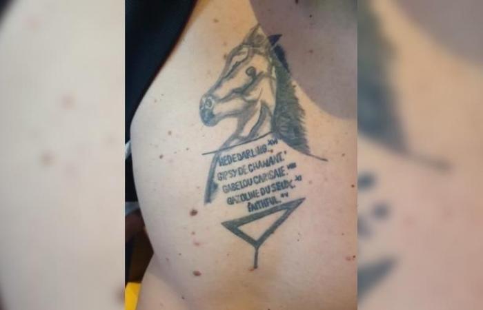 Guadagna 315.000 euro alla PMU e ha la finitura tatuata sulla schiena. Sport