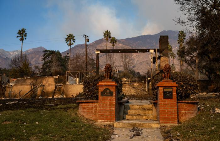 Segnalare nuovamente gli incendi attraverso il dolore, la comunità e lo scetticismo