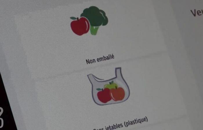 Perché ora dobbiamo specificare il tipo di imballaggio sulle bilance dei supermercati? – rts.ch