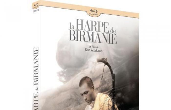 Restauro 4K ed edizione Blu-ray il 21 gennaio in Francia