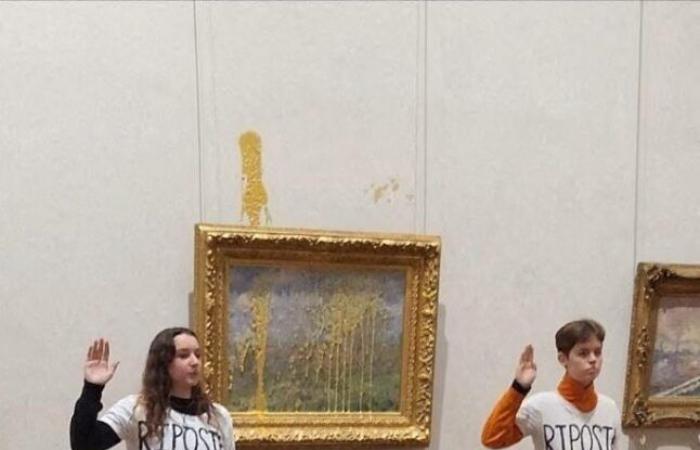 Lione. Gettare la zuppa su un quadro di Monet: condannati gli ambientalisti