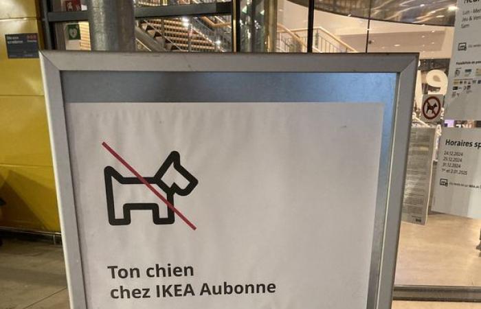 IKEA intraprende azioni radicali contro i cani