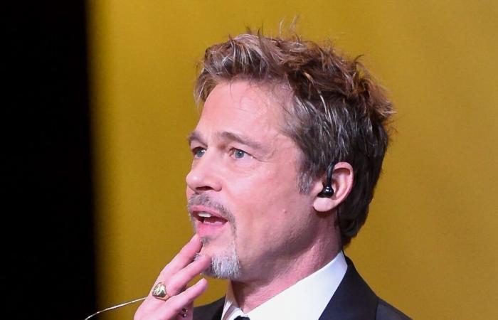 TF1 ritira la segnalazione su una donna truffata da un finto Brad Pitt