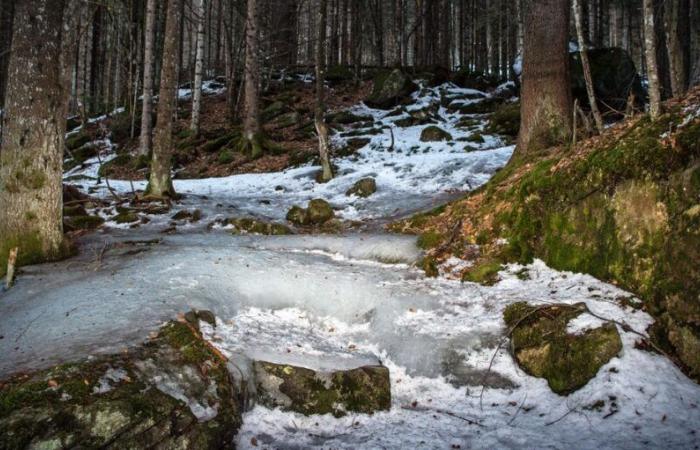 Ricerca SRF sui costi di bonifica dovuti all’inquinamento da PFAS