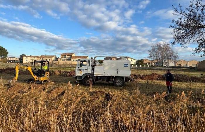 130 alberi piantati per ripristinare i corsi d’acqua a Florensac