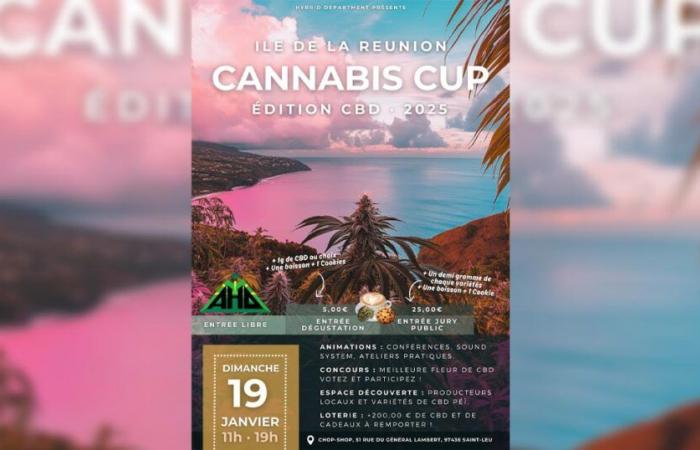 L’edizione 2025 della Cannabis Cup CBD si aprirà il 19 gennaio