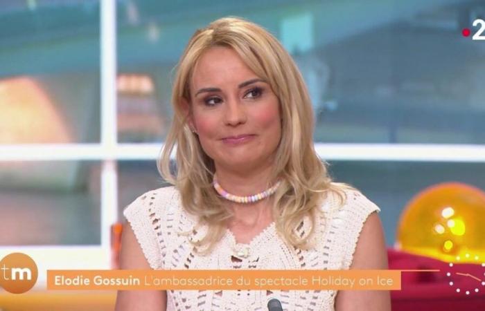 “Mi manca…”, è scoppiata in lacrime Elodie Gossuin su Télématin