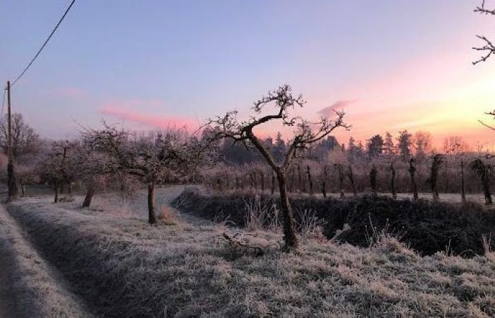 Dove è stato il più freddo oggi in Francia?