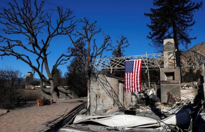 foto della desolazione dopo gli incendi