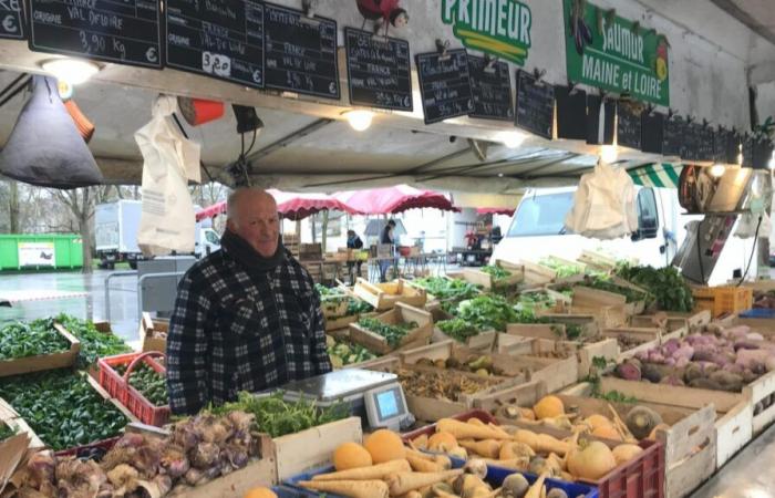 sui mercati borse “biodegradabili” poco ecologiche