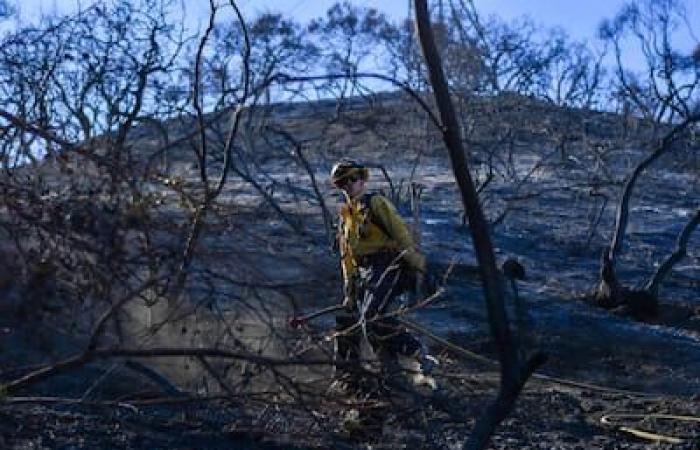 NELLE IMMAGINI | Nuovi venti devono colpire Los Angeles senza fiato