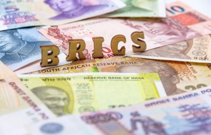 Il presidente a rotazione dei BRICS parla della sostituzione del dollaro USA, afferma di non essere contro l’Occidente