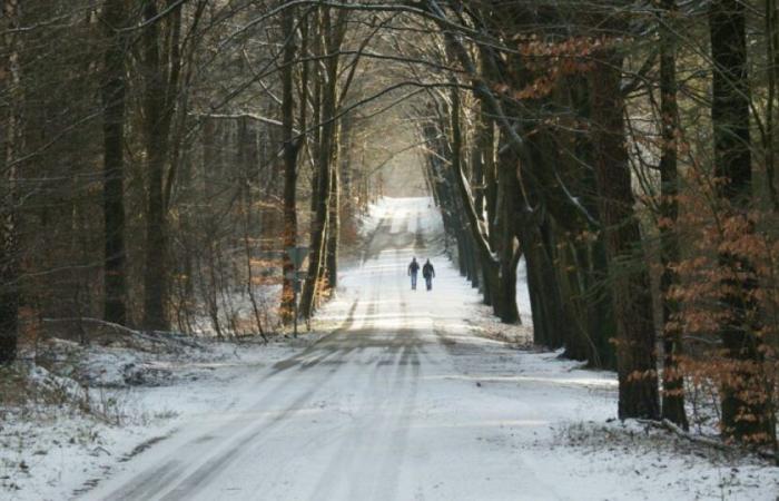 aggiornamento sulle temperature gelide in Francia questo martedì: notizie