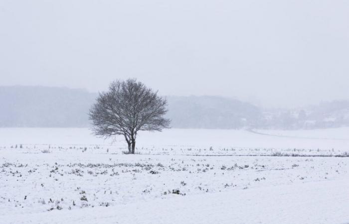 26 dipartimenti in allerta “forte freddo”, previsioni dettagliate