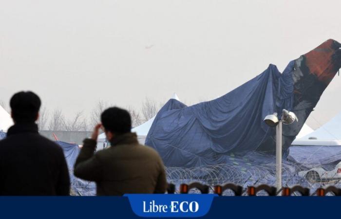 L’aereo della Jeju Air ha subito un blackout elettrico totale? “I piloti hanno tentato una manovra disperata, a bordo doveva esserci stato il panico”