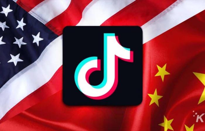 Elon Musk, MrBeast… Chi potrebbe salvare Tiktok negli Stati Uniti?