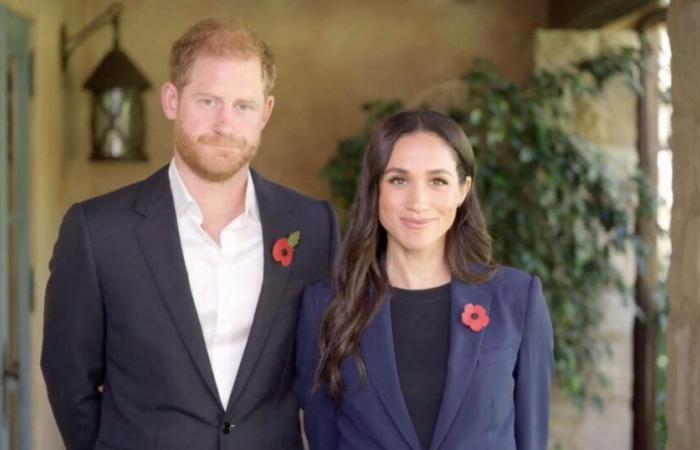 Harry e Meghan sono molto preoccupati, pesano le loro parole in un comunicato che farà discutere…