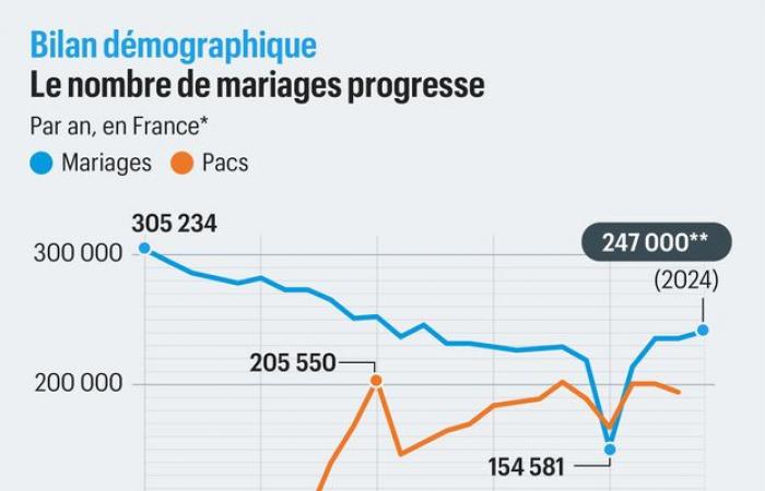 cosa dice il nuovo rapporto demografico francese