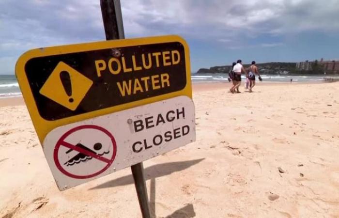 Le spiagge di Sydney vengono chiuse dopo l’apparizione di balli misteriosi