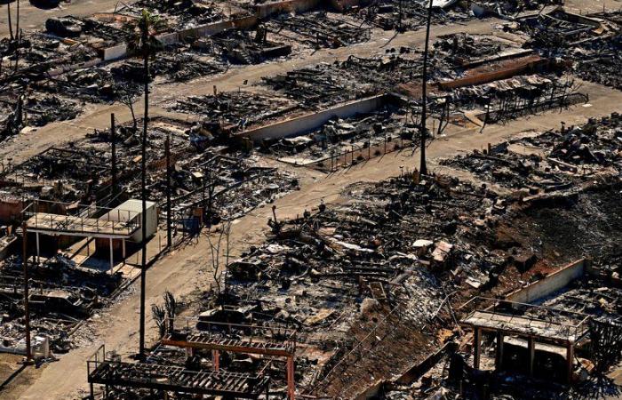 DIRETTO. Incendi a Los Angeles: tornano forti venti a minacciare, annullato il pranzo dei candidati all’Oscar