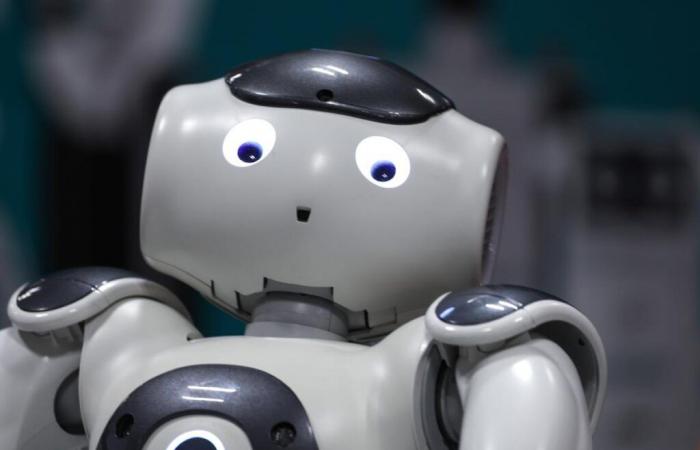 È urgente regolamentare le nostre relazioni intime con i robot