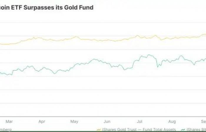 Bitcoin (BTC): 500.000$ entro il 2025?