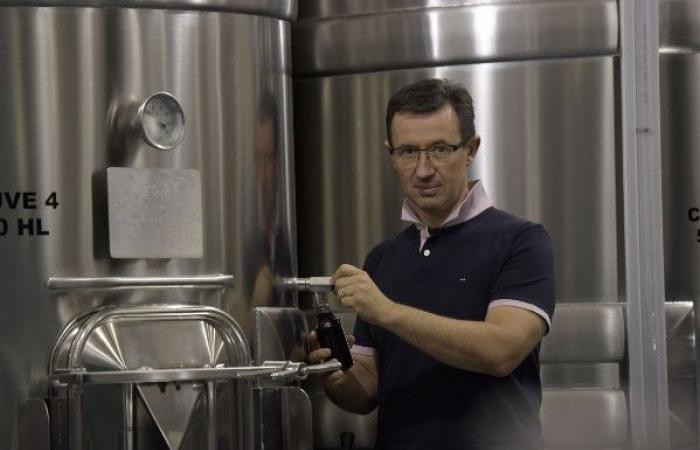 “Non possiamo dirci che per il vino è finita, che ha vinto la birra”