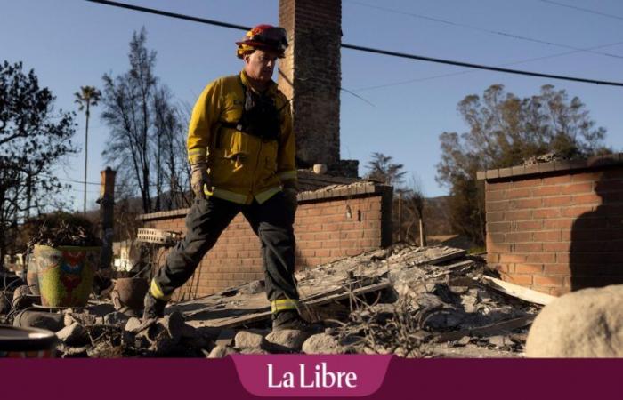 quando i proprietari approfittano degli incendi per aumentare l’affitto