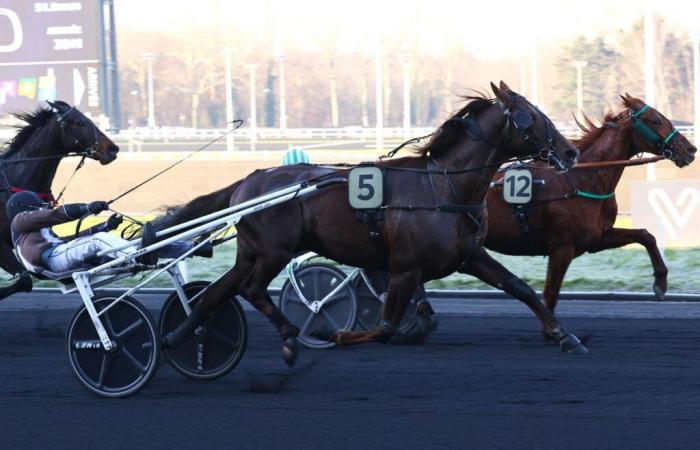 Chestnut apre il suo sportello in Francia