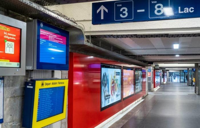 muore dopo una lite con il fratello alla stazione