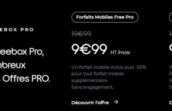 Free lancia il suo nuovo Freebox Pro: 8 Gb/s simmetrico, sempre a 49,99 euro IVA esclusa al mese